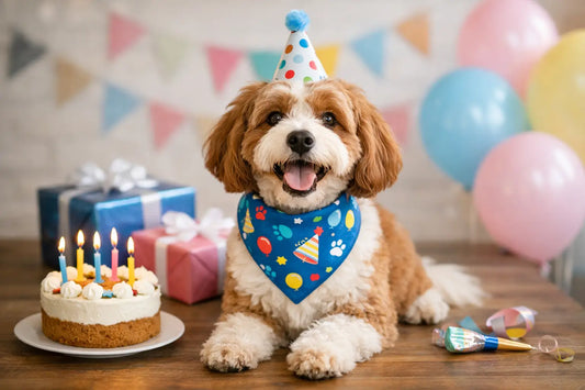 Dog Bandanas for Birthdays That Fit Right