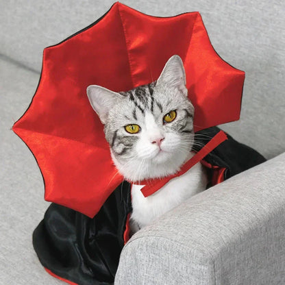Pet Vampire Cape Halloween Costume for Cats & Small Dogs