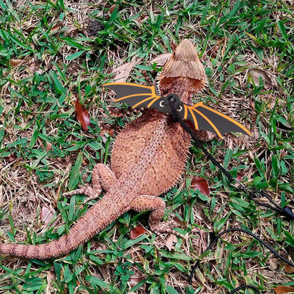 Bearded Dragon Leash Harness – Leather Wings Reptile Harness with Removable Leash - Operation Cozy Paws