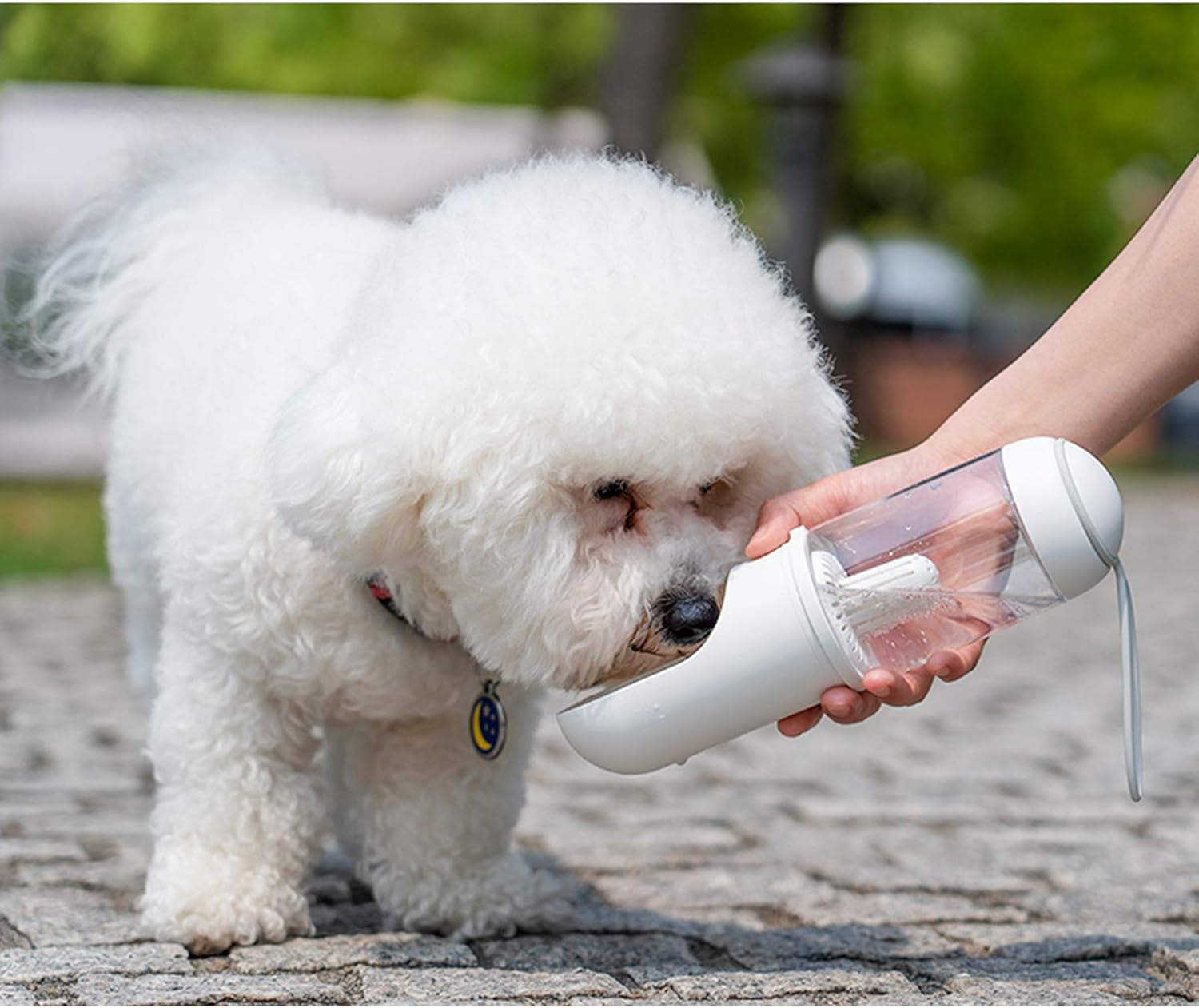 Portable Dog Travel Water Bottle – Leak-Proof Pet Water Dispenser - Operation Cozy Paws
