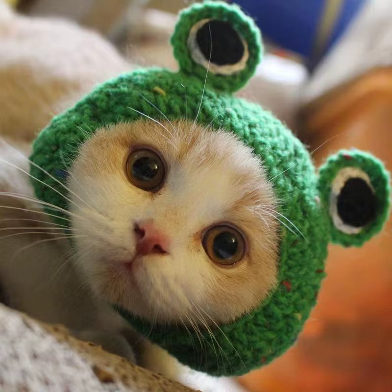 Cute Cat Hat – Refined Elastic Knitted Autumn & Winter Pet Accessory - Operation Cozy Paws